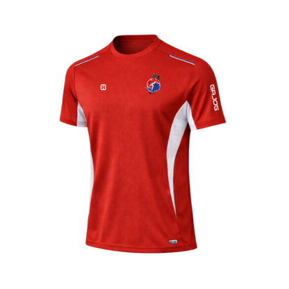 Blue Dragon /GAJOG/ Camiseta Oficial Roja
